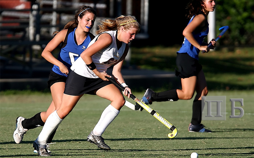 Стратегия ставок догон в ставках