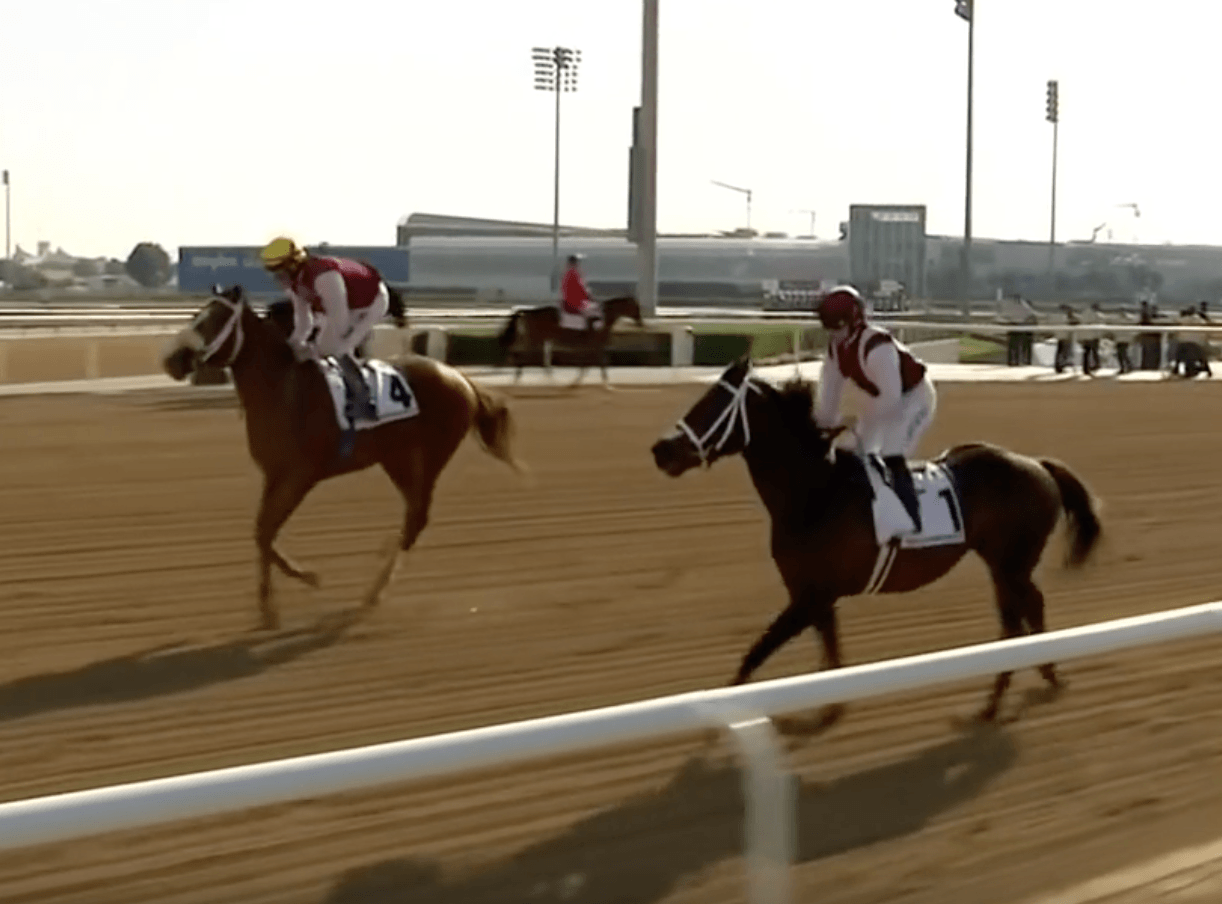 Стратегия ставок на лошадей